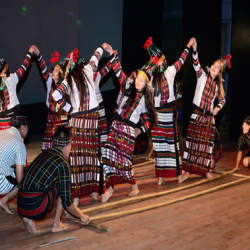 Mizoram Dance Team